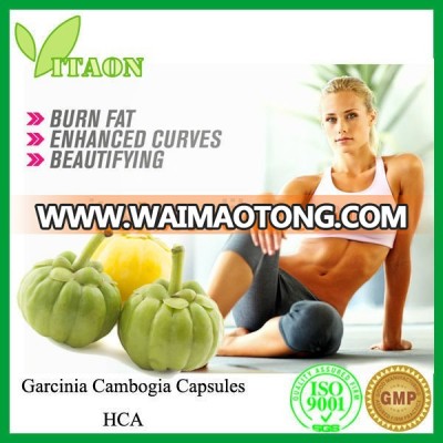 chinese herbal medicine weight loss Garcinia Cambogia capsules