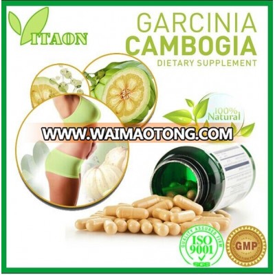 GMP certificate garcinia cambogia extract capsules Garcinia Cambogia