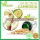 garcinia cambogia extract capsules cambogia garcinia