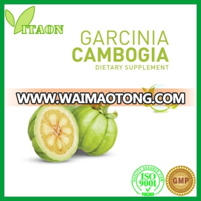 Garcinia Cambogia plant seeds capsule weight gain capsules