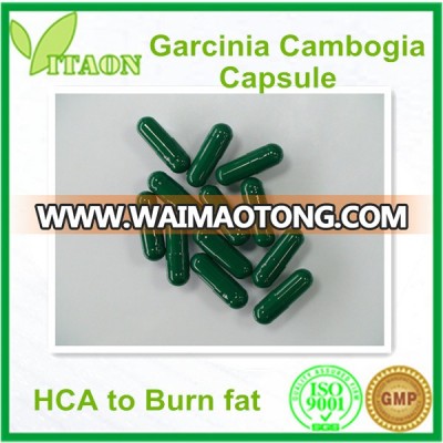 High quality Garcinia cambogia plant capsule OEM private label